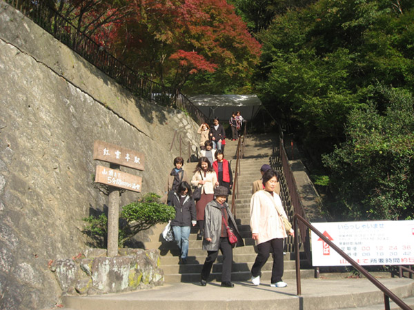 紅葉 日本三大奇形「小豆島寒霞渓」ロープウェイ空中散歩
